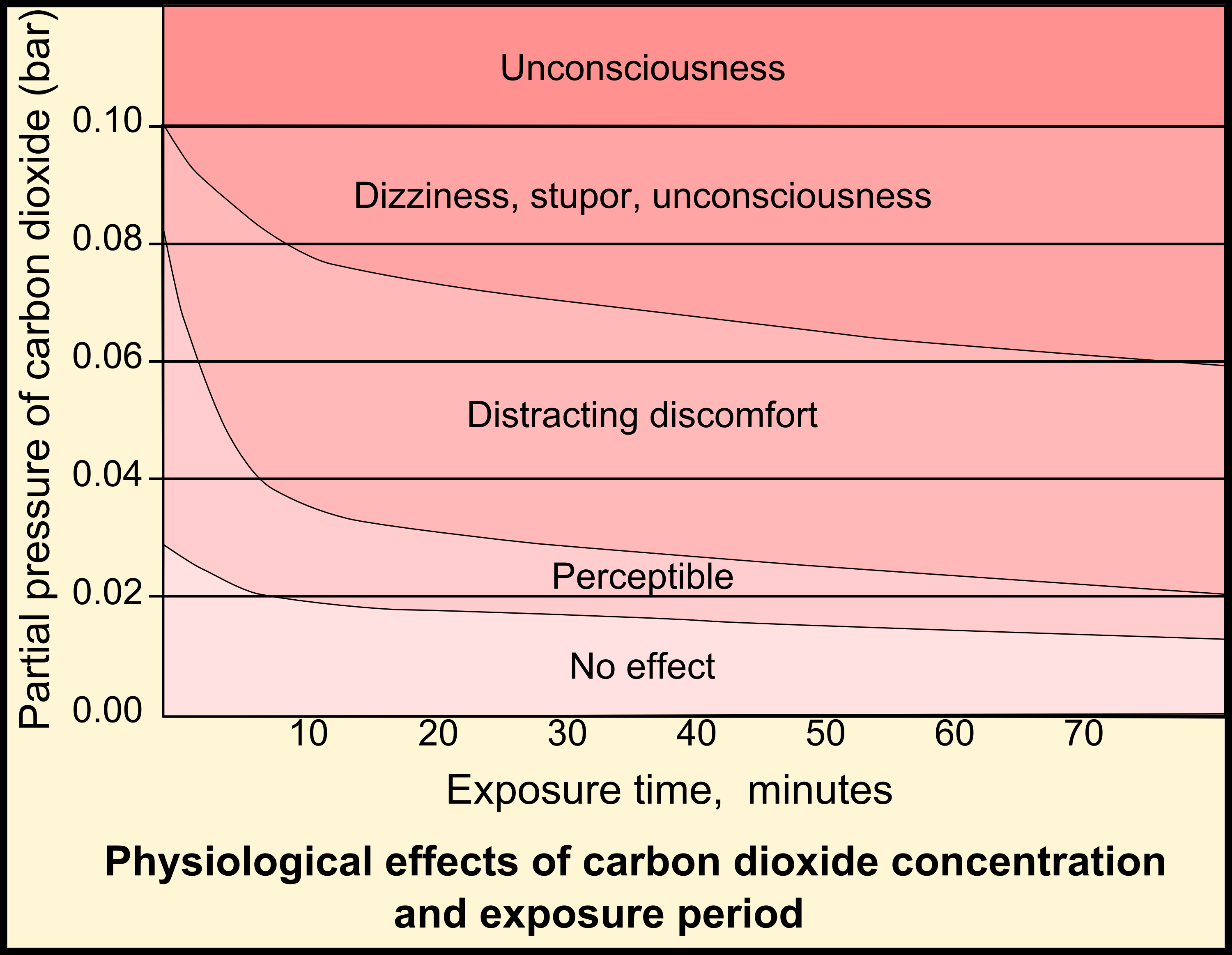 The Effect Of C02 Concentration On The