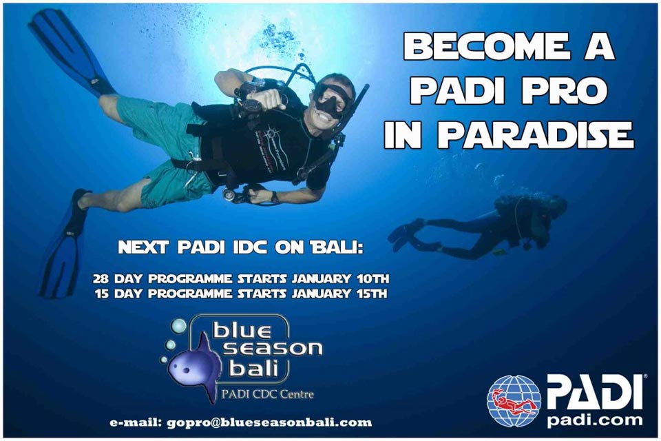 Becoming a PADI SCUBA Instructor in Diving