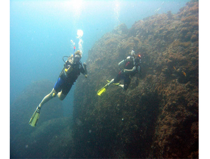 Benefits of Being a Specialty Instructor or Master Scuba Diver Trainer for diving in Bali