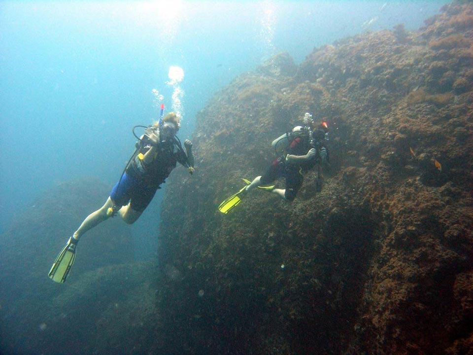 Benefits of Being a Specialty Instructor or Master Scuba Diver Trainer in Bali