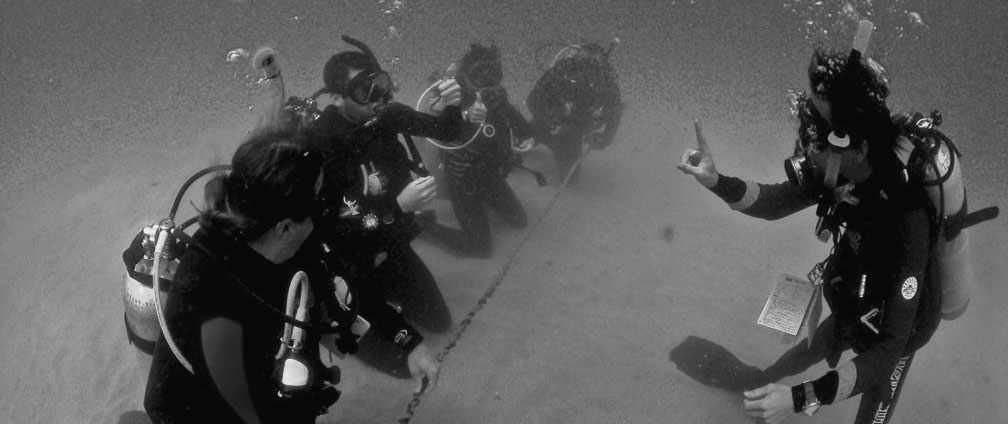 The PADI Instructor Examination Courses Diving