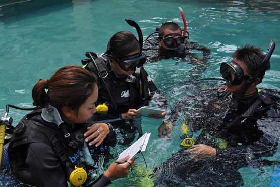 instructor with divemasters in pool