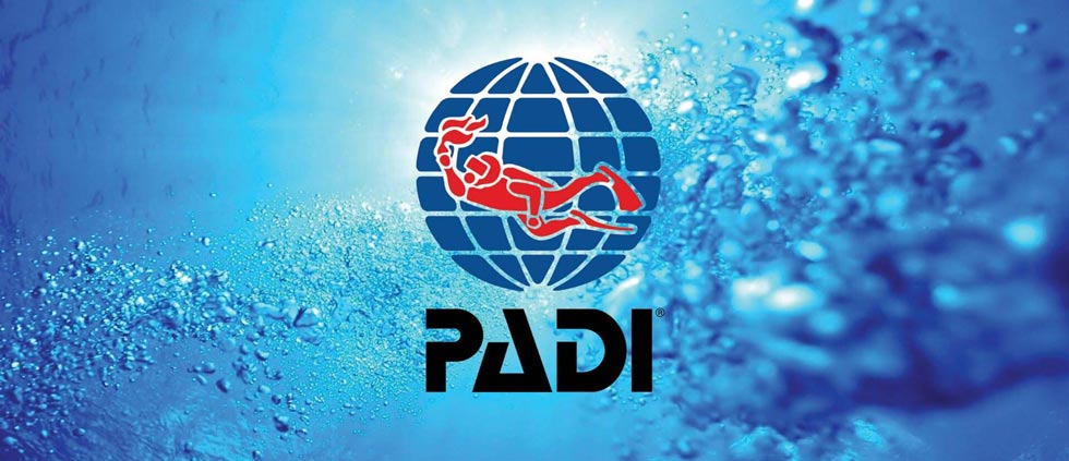 PADI IDC Internship LOGO 