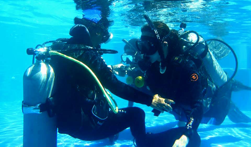 Freelence-as- PADI scuba diving instructor