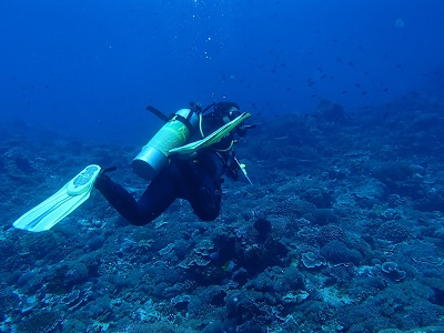 Scuba diving finning techniques