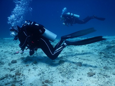 Bali Scuba diving finning techniques