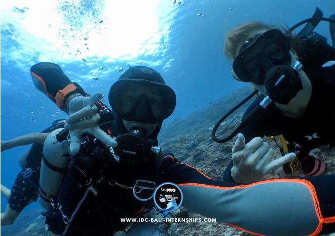 Love for scuba diving