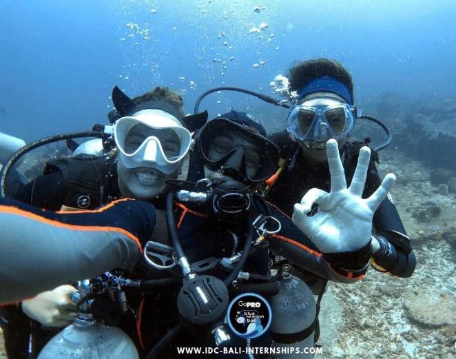 Reasons for Scuba Diving